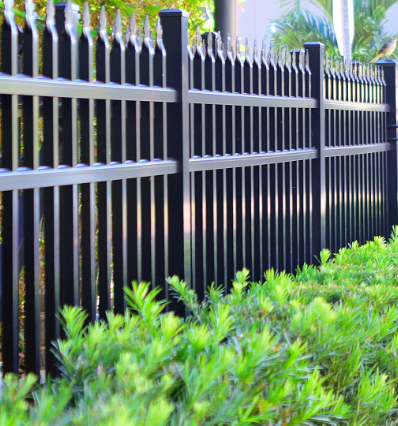 Black metal fence with shrubs.