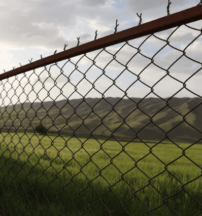 Chain link fence and green field.