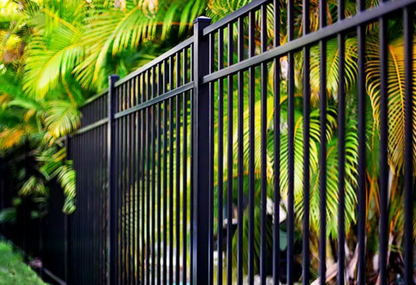 Black metal fence with lush green plants.